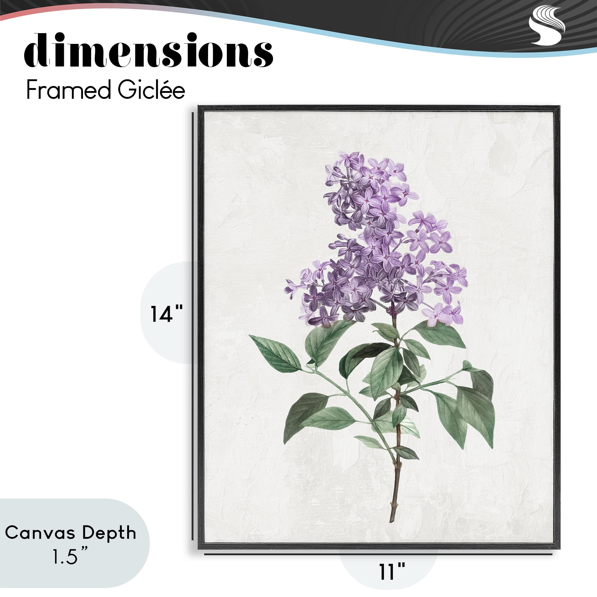 Stupell Industries Lilac Herb Blossoms Black Framed Giclee Art, design by Kim Allen