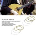 thumbnail image 4 of Cordes de Mandoline, Assortiment Cordes de Mandoline pour Exercice, 4 of 8