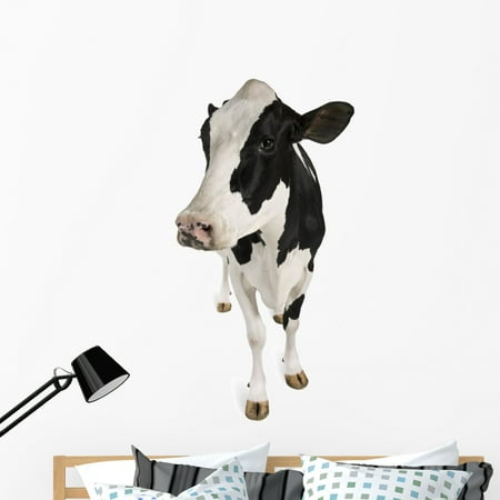 holstein cow wall decalwallmonkeys peel and stick graphic (48 in