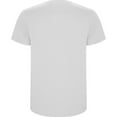 thumbnail image 2 of Roly Mens Stafford T-Shirt, 2 of 4