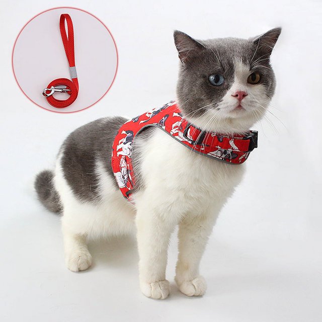 Cat Kitten Harness and Lead Set Escape Proof, Breathable Adjustable Cat Puppy Harness with Leash Set for Walking Pet Vest for Cats Reflective Kitty Small Dog Harness with Leash