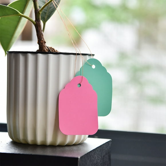 STRANDCHIC 5 Sets Garden Style Labels For Plant Identification In Gardens