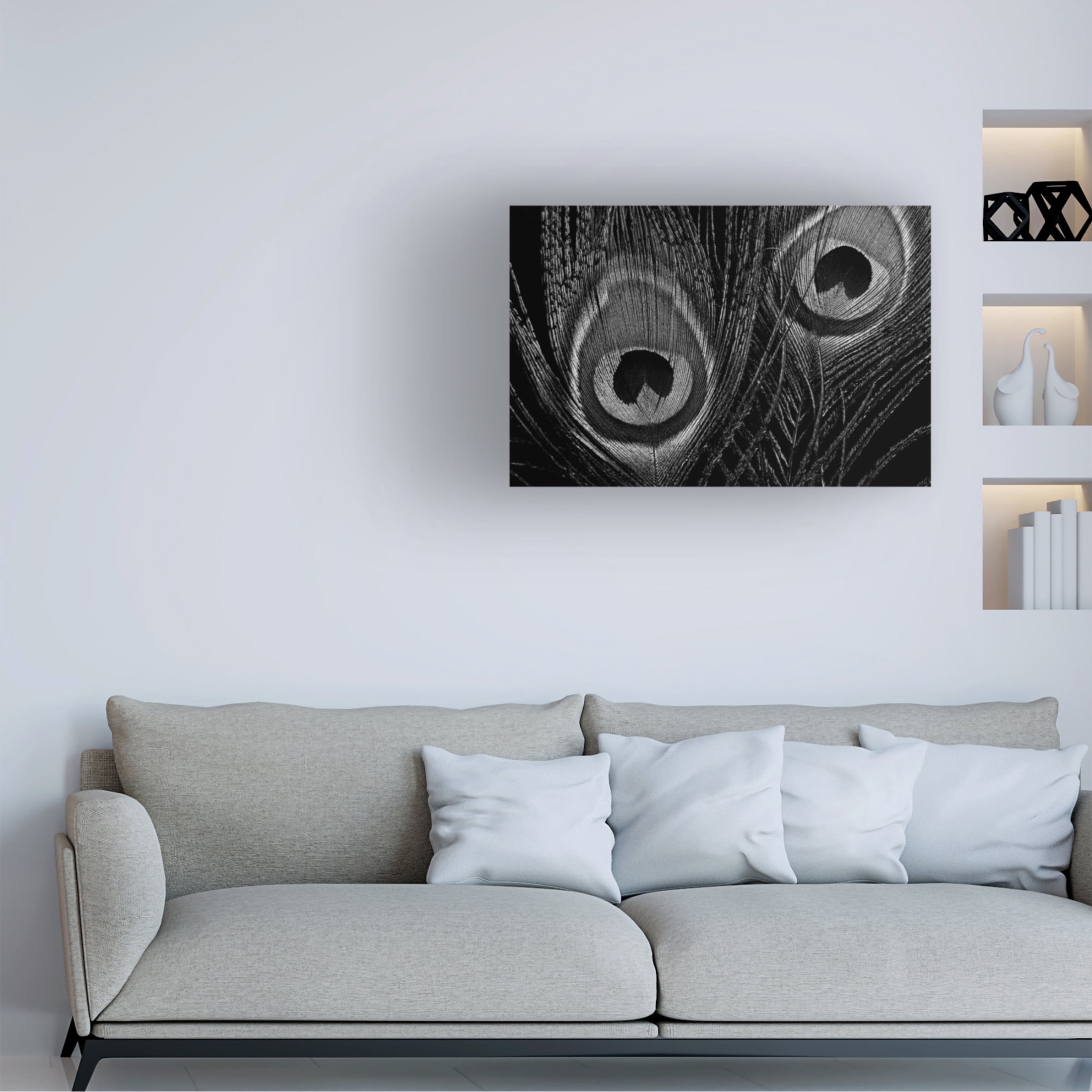 Canvas Wall Art - Tom Quartermaine 'Black and White Peacock Feathers Close up' Wall Art for Living Room, Bedroom, or Office Décor by Trademark Fine Art - 19 x 12 Inches
