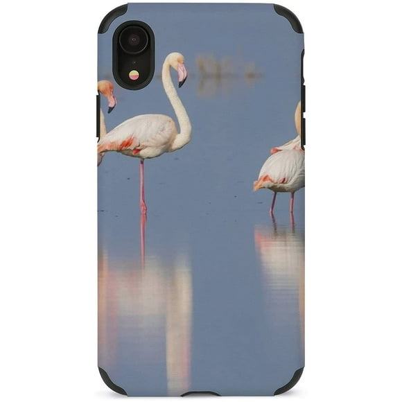 Phone Case Bird Pattern Cute Customed Cell Phone Accessories Shockproof Protection Case for Women Men Teens