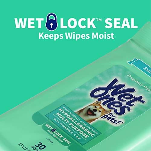 Antibacterial wipes top for dogs walmart
