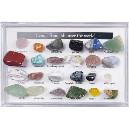 Dancing Bear -15 Pc Rock & Mineral Collection With Collector Box/Display Case, Id Sheet, Rock Book, Magnifying Glass, Beginner S