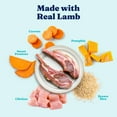 thumbnail image 5 of Solid Gold Hund N Flocken Nutrient Boost Lamb, 12.5oz Can (Case of 6), 5 of 9