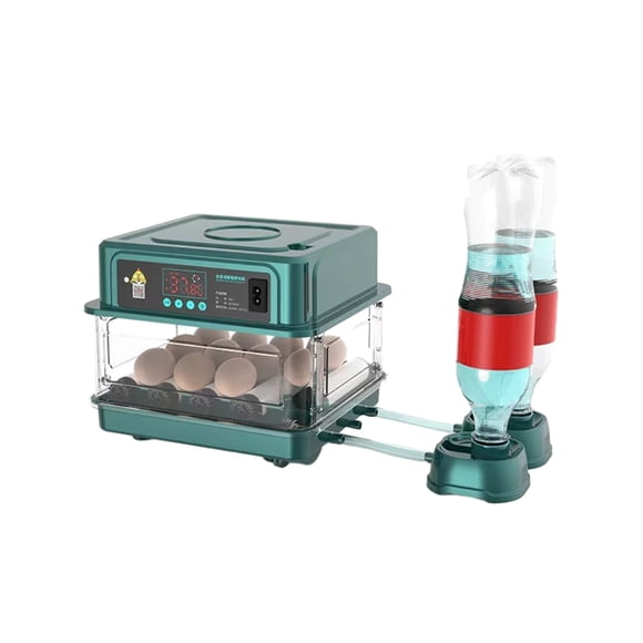 Methold Incubadora de huevos, incubadora de codorniz de pájaro ligera profesional automática con cajón, equipo volteador automático para el Incubadoras de huevos 6 uds. Enchufe de EE. UU.