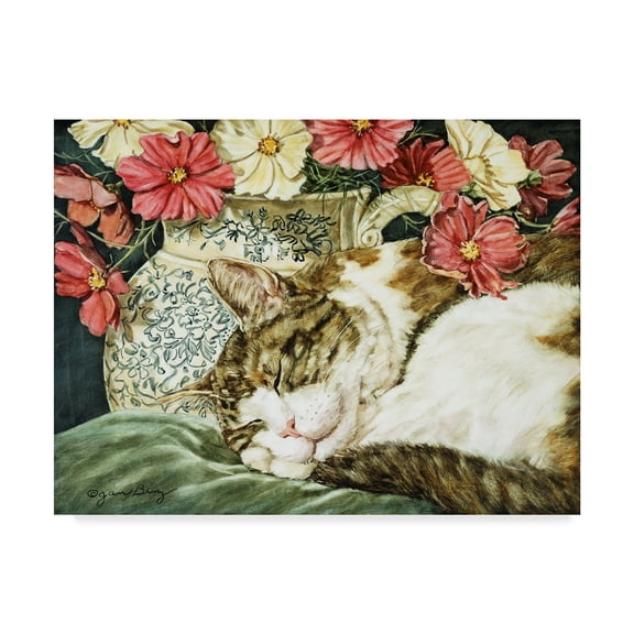 Trademark Fine Art 'Cosmos Dreams' Canvas Art by Jan Benz