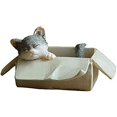 thumbnail image 1 of RV Figura de gato en miniatura para jardín de hadas - Gato callejero en caja, 1 of 3