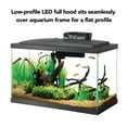 thumbnail image 6 of Aqueon Aquarium Starter Kit, 10 Gallon Glass Fish Tank, LED Lighting, Filter and Heater, 6 of 10
