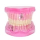 thumbnail image 1 of Modelo de dentadura postiza, modelo de dientes adultos transparentes, modelo de enseñanza de dientes, modelo dental, diseño de próxima generación, 1 of 8