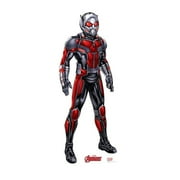 Ant-Man - Avengers Animated Cardboard Standup 69 x 27 in.