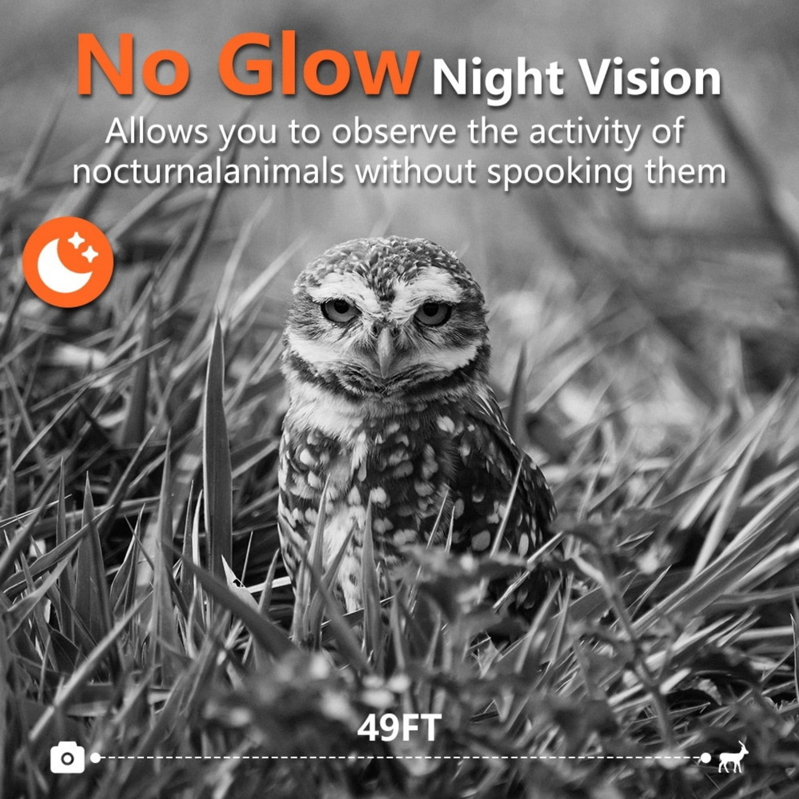 WiFi Trail Camera with Infrared Night Vision, Motion Activated Game Camera with Type-C Charging, High Resolution Wildlife Camera with IP66 Waterproof for Outdoor Use