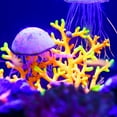 thumbnail image 6 of Unique Bargains Aquarium Simulation Bubble Coral Silicone Fluorescent Coral Glow Fish Tank Landscape Decoration Rose Red, 6 of 7