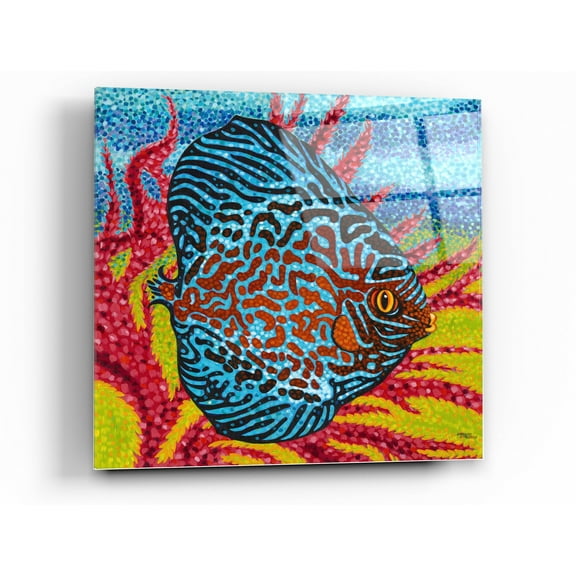 Epic Art 'Brilliant Tropical Fish II' by Carolee Vitaletti Acrylic Glass Wall Art, 24"x24"