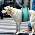 thumbnail image 6 of UOSIA Dog Lift Harness Medium - Hind Leg Support Sling with Hip Padding, 6 of 8