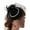 Black, variant on Women Fascinator Headband Derby Pillbox Hat Cocktail Tea Party Fascinator Derby Hat Fascinator Veil Mesh