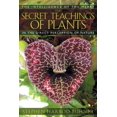 thumbnail image 1 of Secret Teachings Of Plants, Stephen Harrod Buhner Paperback, 1 of 2