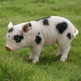 thumbnail image 2 of Hi-Line Gift Standing Pig Statue with Black Spots, 2 of 5