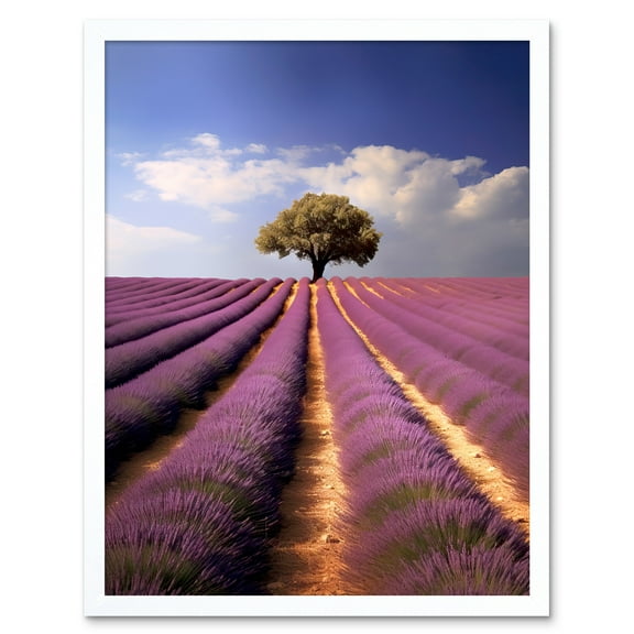 Lavender Field Provence France Photograph Lone Tree Beautiful Flower Purple Blooms Art Print Framed Poster Wall Decor 12x16 inch