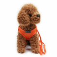 Giugt Dog Puppy Harness Lead Set Mesh Chihuahua Rabbit Cat Teacup Pet