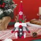 thumbnail image 5 of ¡Ahorra con Rebajas!, Muñecas navideñas Adornos navideños Muñeco sin rostro de Papá Noel Regalos navideños Adornos decorativos Akmoler, 5 of 9