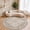 Beige Brown, variant on UERMEI 9'x12' Washable Area Rugs for Living Room, Vintage Floral Boho Printed Carpet, Non Slip Indoor Large Rugs for Bedroom Home Decor Carpets, Beige Brown