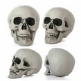 thumbnail image 2 of fastboy Halloween Party Decor Plastic Scary Head Halloween Creepy Doll Set, Graveyard Scene Decoration Creepy Head Props Head type+3, 2 of 6