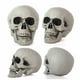 thumbnail image 5 of Wosthever Suministros de decoración de Halloween, 10 piezas de accesorios para muñecas, juego de accesorios espeluznantes, decoración de Kits de decoración para fiestas tipo+3, 5 of 6