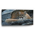 thumbnail image 2 of Epic Art 'Between a Rock and a Hard Place - Cougar' by Mark Mueller Wildlife Art, Acrylic Glass Wall Art, 48"x24", 2 of 8