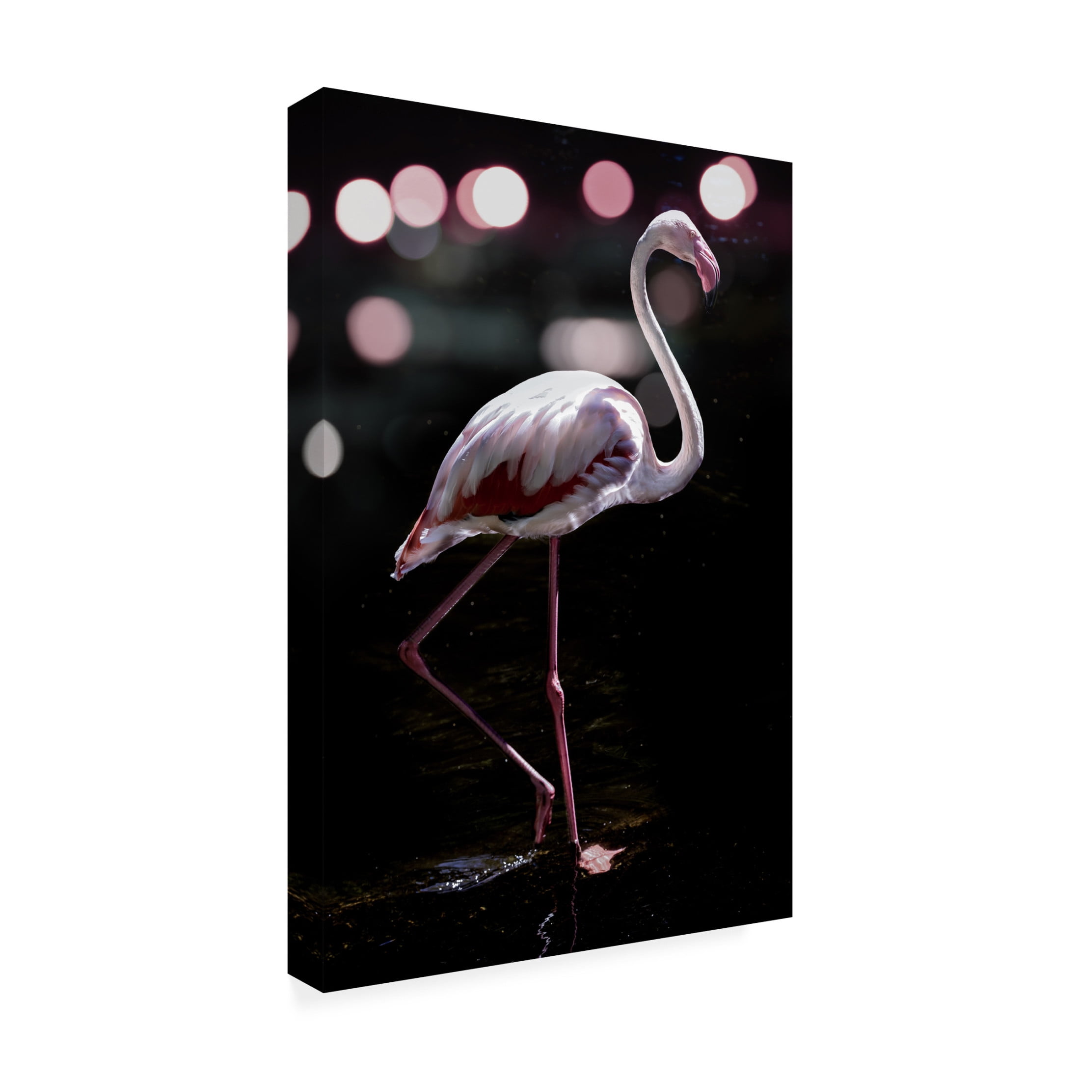 Trademark Fine Art Shot by Clint Dancing Flamingo Canvas Wall Art