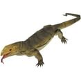 thumbnail image 2 of 41 Inches Long 3-Lb Jumbo Monitor Lizard., 2 of 2