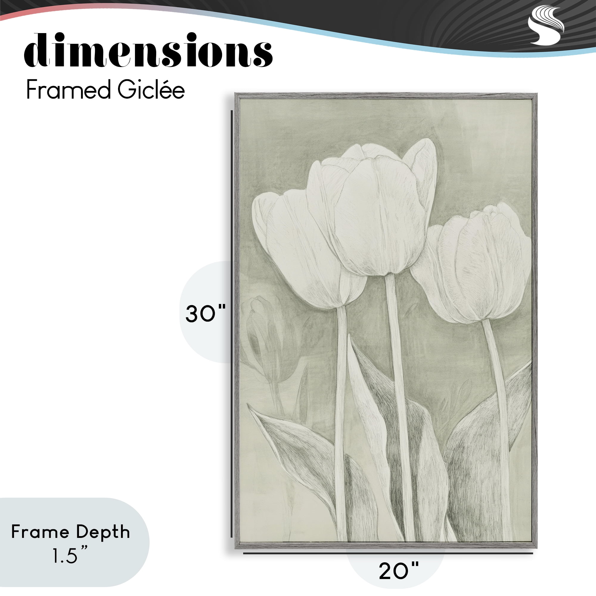 Stupell Industries Faded Tulips Pencil Sketch Gray Framed Giclee Art, design by Petal Prints Design