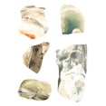 thumbnail image 2 of Vess, June Erica 23x32 White Modern Wood Framed Museum Art Print Titled - Geode Segments II, 2 of 4