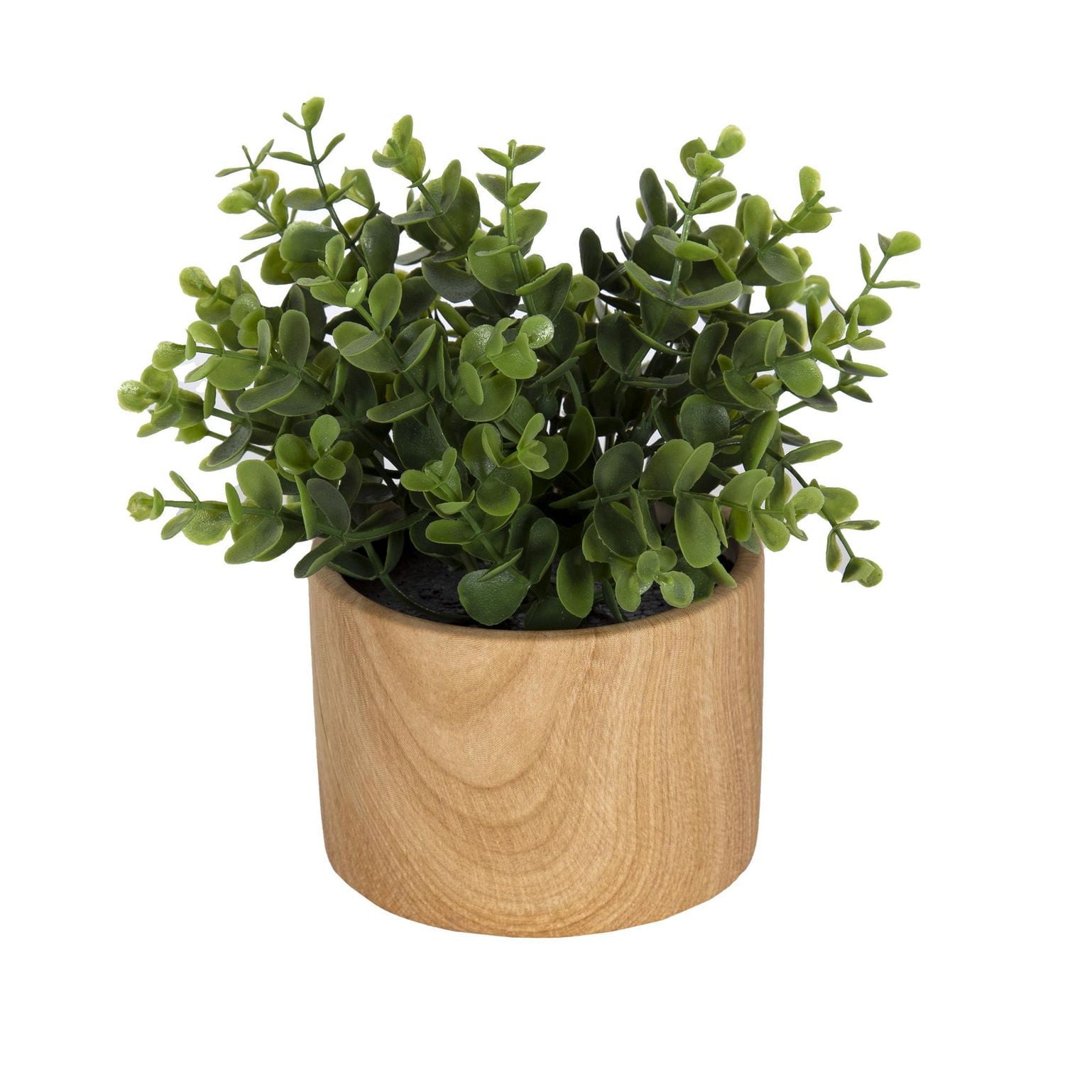 Fausse plante eucalyptus Jessie dans un pot brun