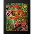 thumbnail image 2 of Drost, David 15x18 Black Modern Framed Museum Art Print Titled - Peaceful Woods I, 2 of 5