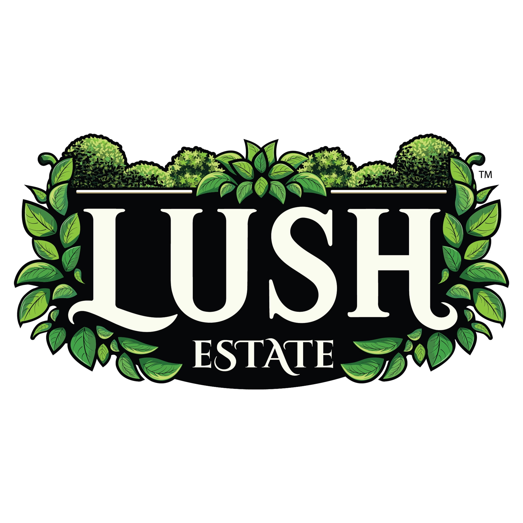Lush Estate Artificial Black Grass Plant, 47", Lifelike UV Resistant Indoor Decor