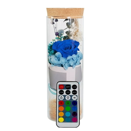 

Romantic Eternal Rose Wishing Bottle Night Light LED Lamp Colorful Lights Valentine s Day Gift (Blue with Remote Control)