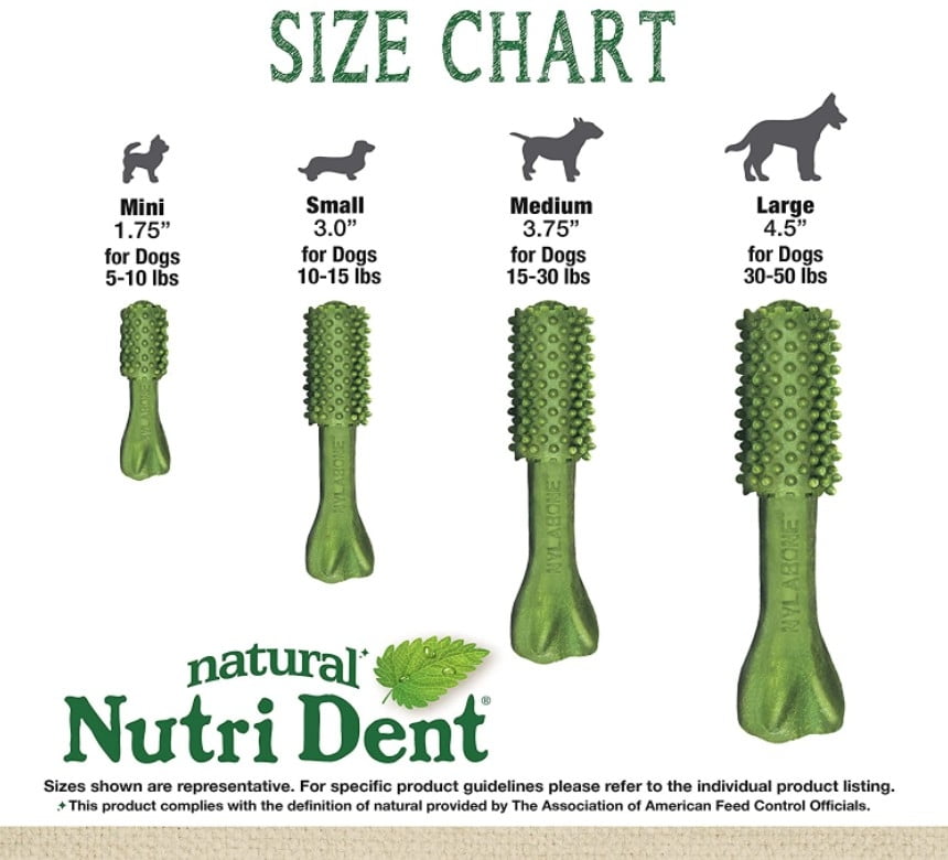 nutri dent large