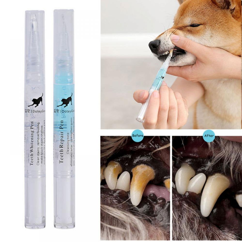 Dog dental cleaning kit hotsell