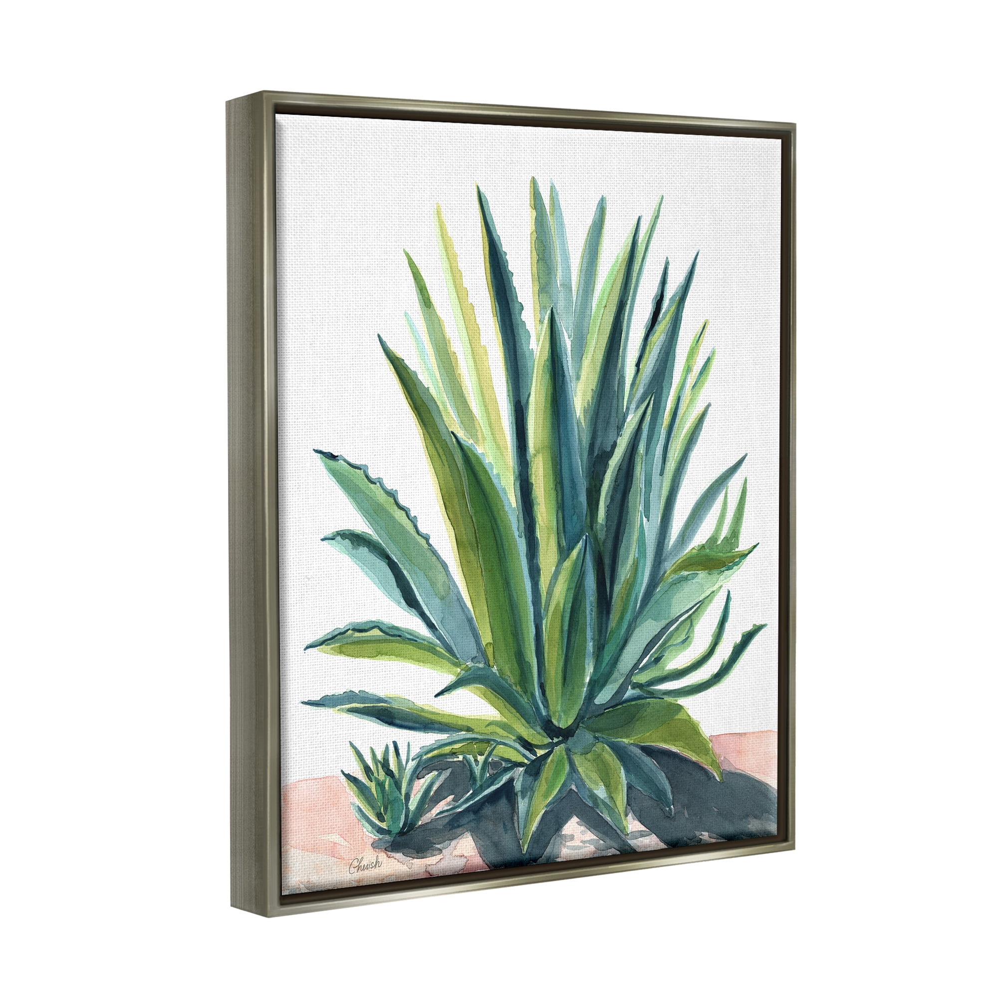 Stupell Aloe Plant Botanical Leaves Botanical & Floral Painting Gray Floater Framed Art Print Wall Art