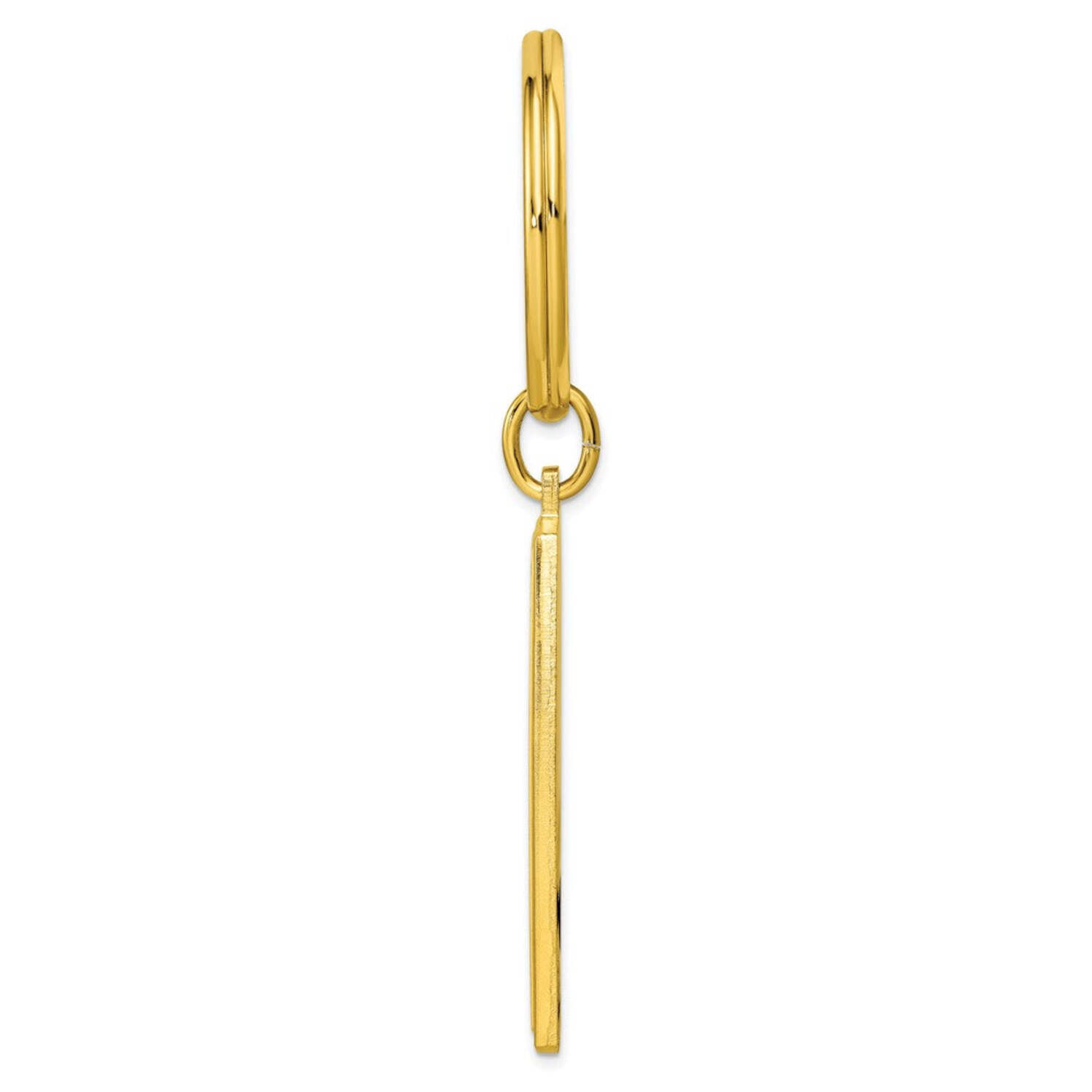 Gold-plated Fish in Net Key Ring Size