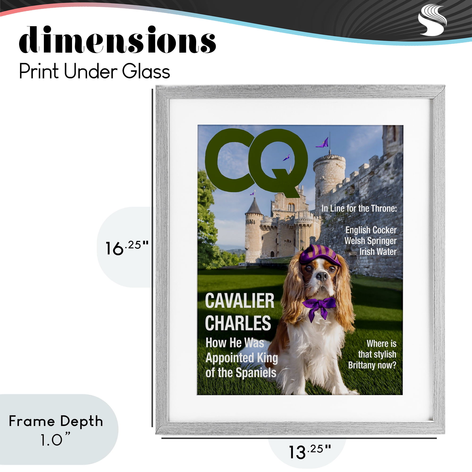 Stupell Industries Royal Cavalier Magazine Gray Framed Print Under Glass, design by Grotto Studios