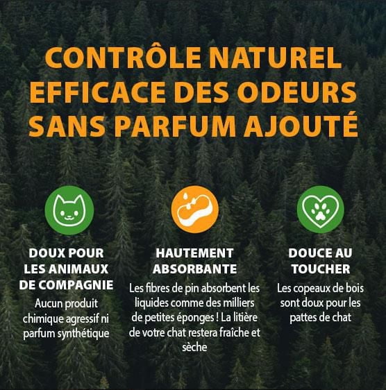 Litière pour chat naturelle non agglomérante Feline Pine Arm & Hammer, 9,07 KG, parfum naturel de pin, contrôle efficace des odeurs, sécuritaire pour les chatons Pin naturel