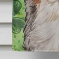 thumbnail image 4 of Carolines Treasures BB9537CHF Drapeau de Maison en Toile Australia Shepherd St. Patricks, 4 of 4