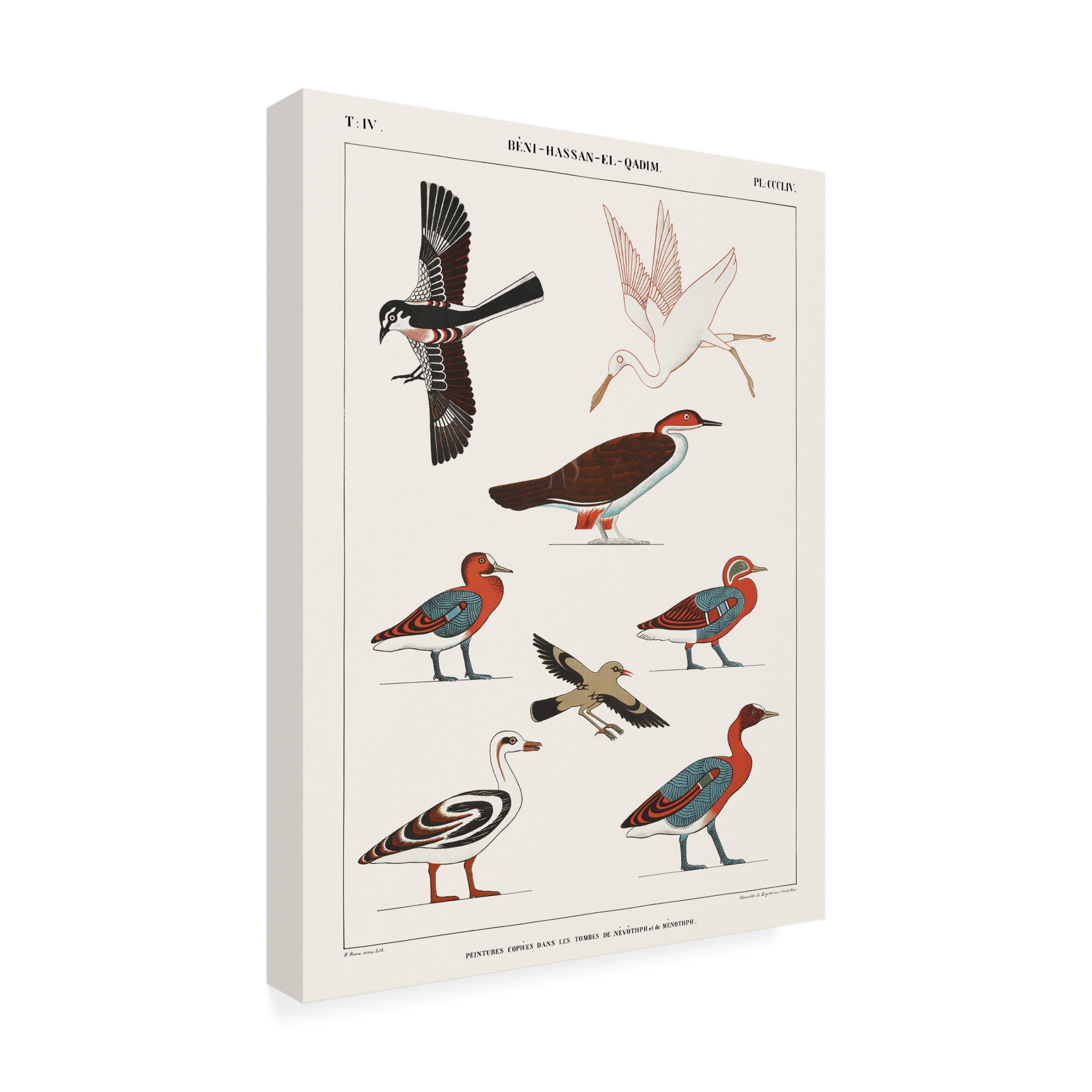 Trademark Fine Art Jean Francois Champollion Egyptian Bird Charts IV Canvas Wall Art