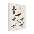 thumbnail image 4 of Trademark Fine Art Jean Francois Champollion Egyptian Bird Charts IV Canvas Wall Art, 4 of 4