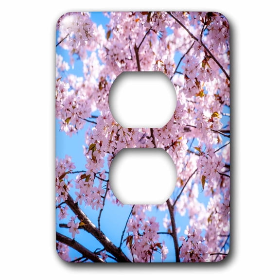 3dRose, Japanese cherry tree - sakura in full bloom. Pink flowers, 2 plug outlet cover