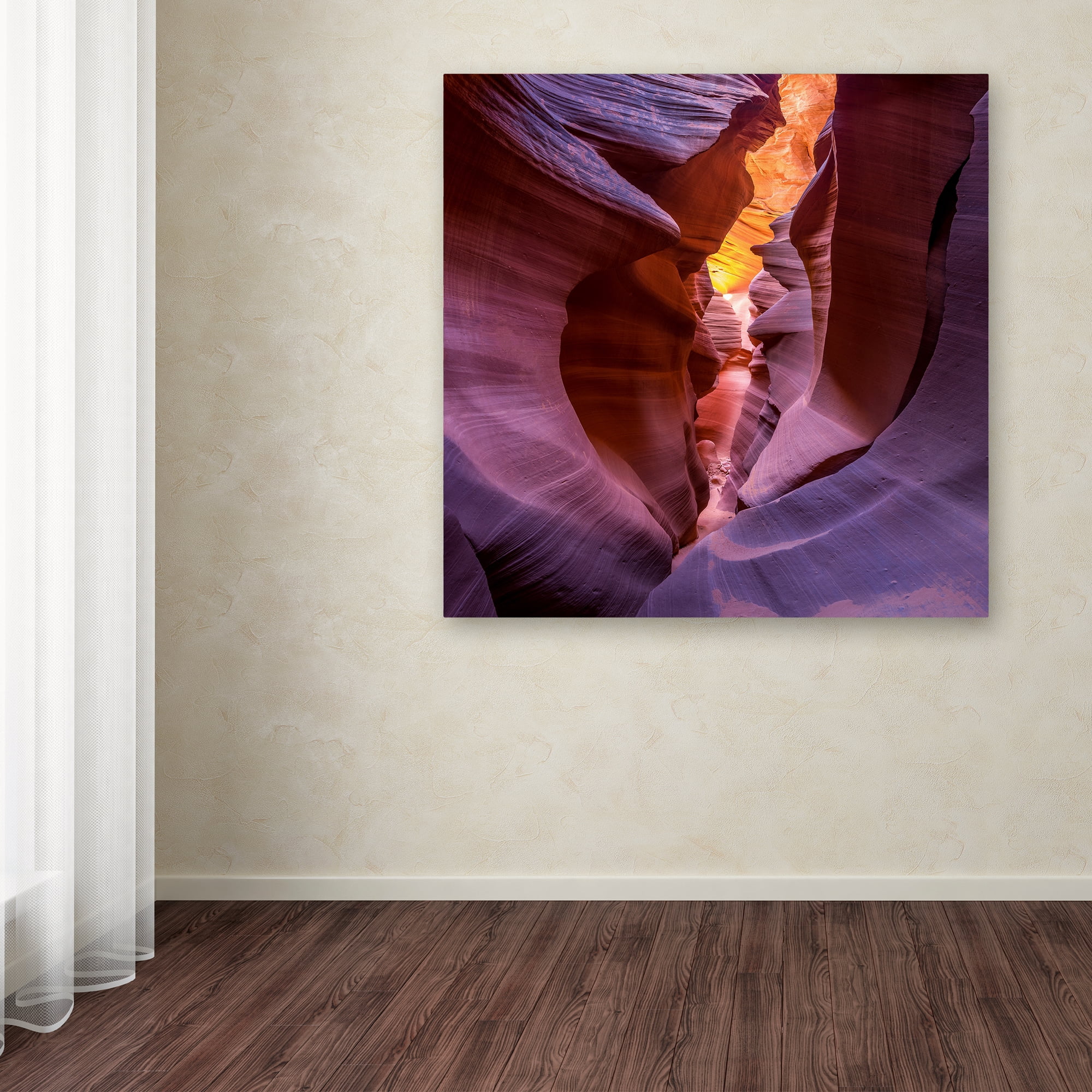 Sandipan Biswas 'Fire In Canyon' Canvas Art